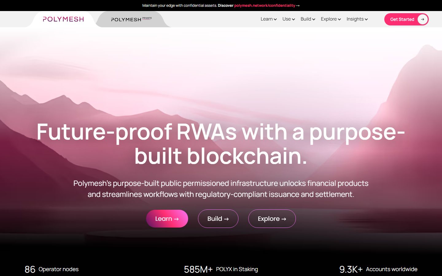 Polymesh homepage showing regulated security token infrastructure, identity-based access, and POLYX network design